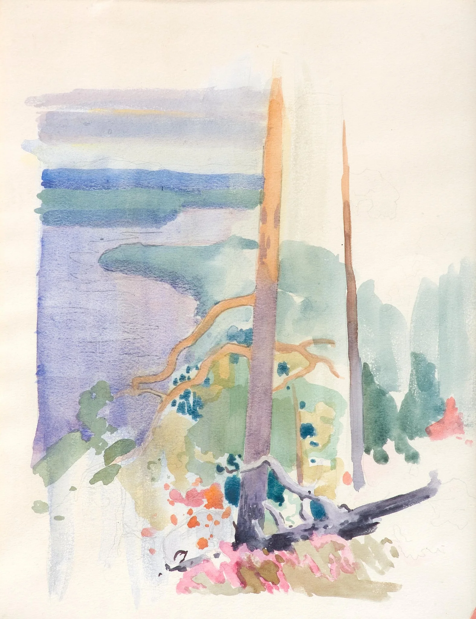 Koli