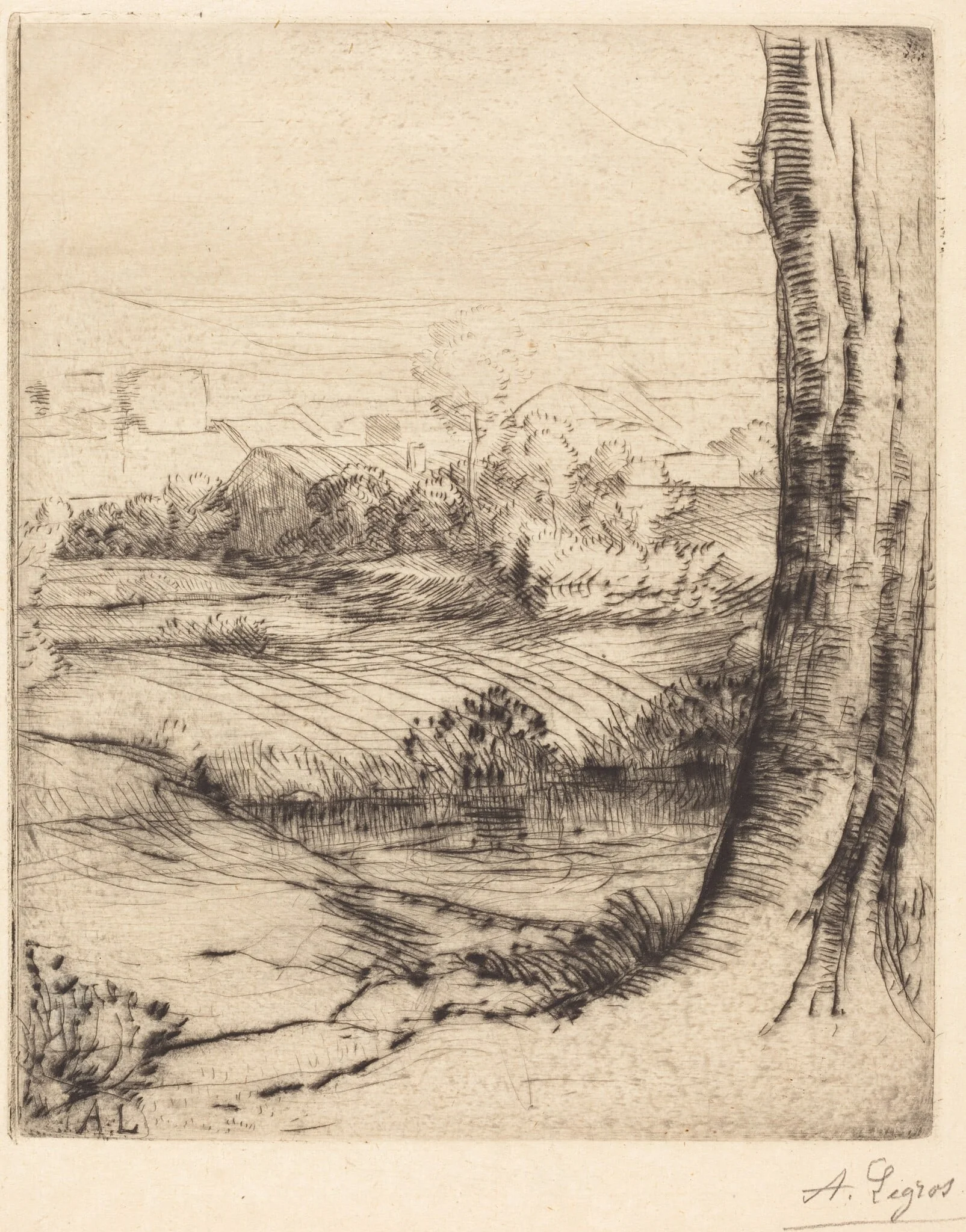 View of Reeds (Coin de roseau), by Alphonse Legros, ink, 1874
