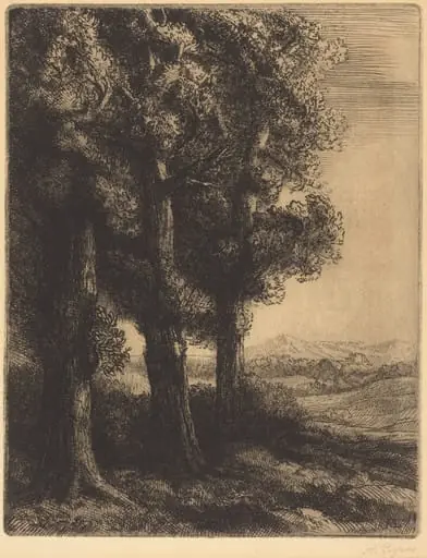 Corner of a Wood (Coin d'un bois)