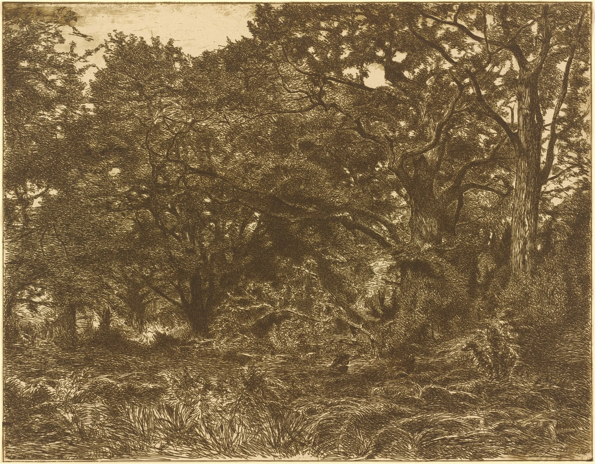 En Foret a Breau, by Adolphe André Wacquez, 1860