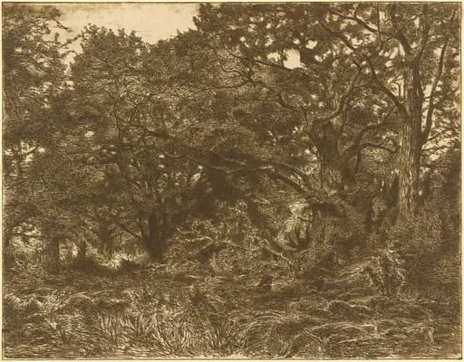 En Foret a Breau