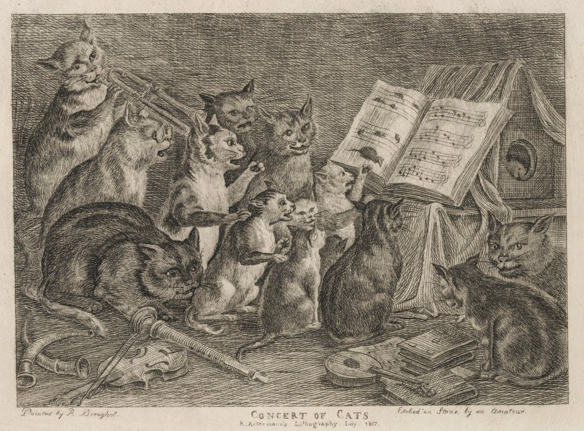Concert of Cats