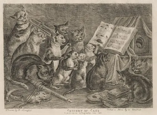 Concert of Cats