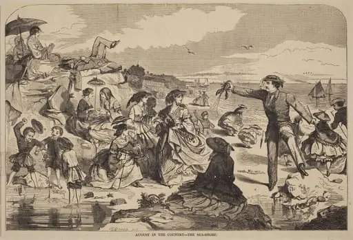 August in the Country - The Sea Shore