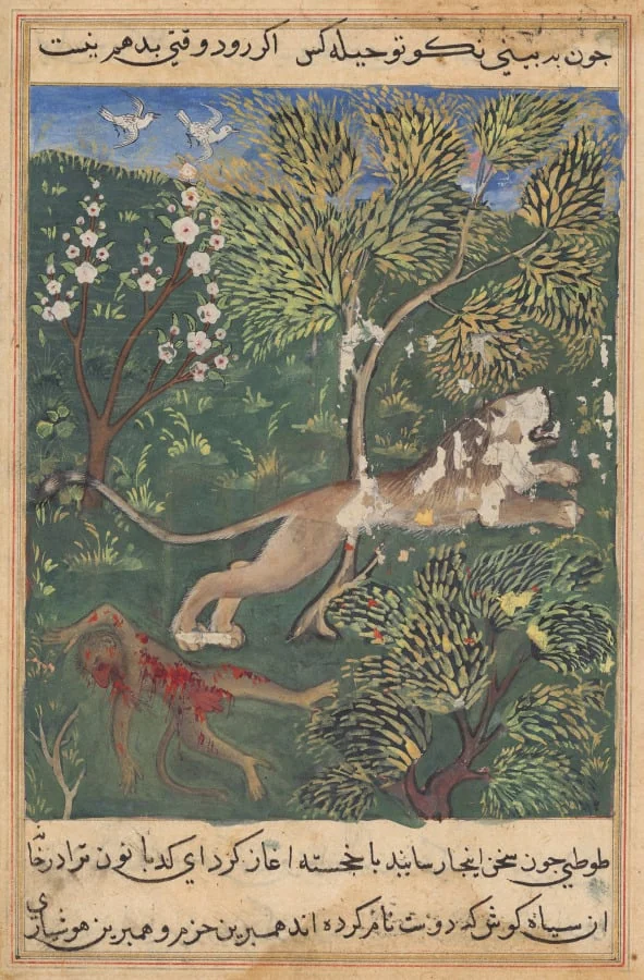 The lion, suspecting treachery on the part of the monkey, slays him and flees, from a Tuti-nama (Tales of a Parrot): Twenty-ninth Night, by Unknown, unspecified, 1560