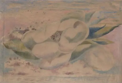 Flight of the Magnolia