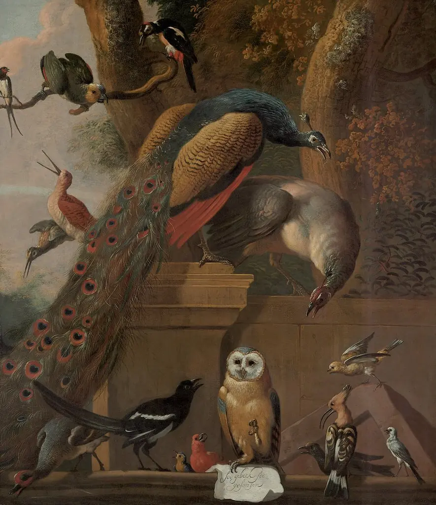 Bird Concert