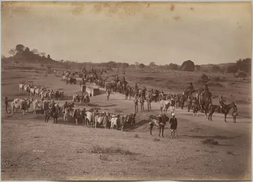 Elephant Battery on March at Jhansi