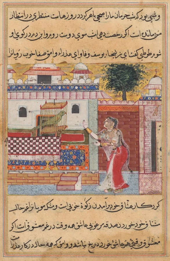 The Parrot Addresses Khujasta at the Beginning of the Twelfth Night, from a Tuti-nama (Tales of a Parrot)