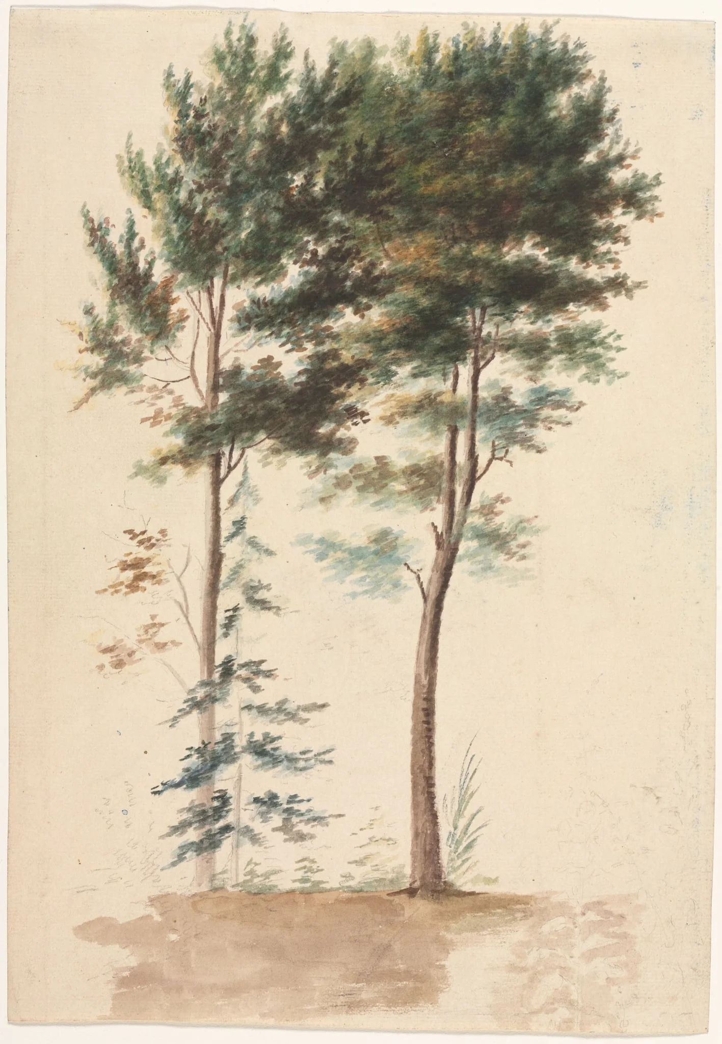 Trees, by Jean Pillement, 1704