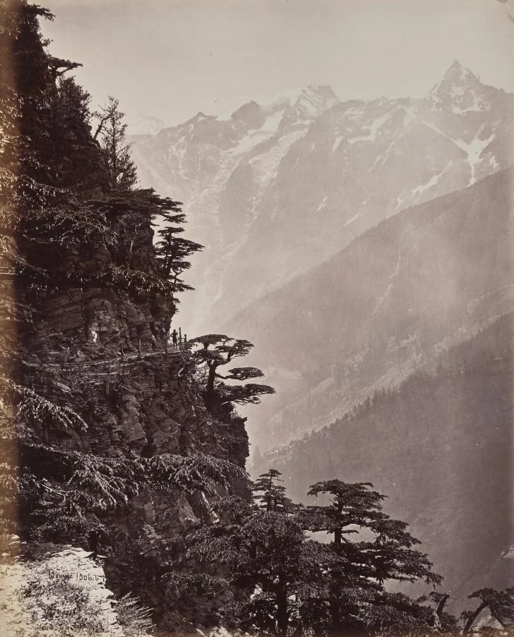 The Upper Himmalayahs. View on the New Road Near Rogi, by Samuel Bourne, 1866