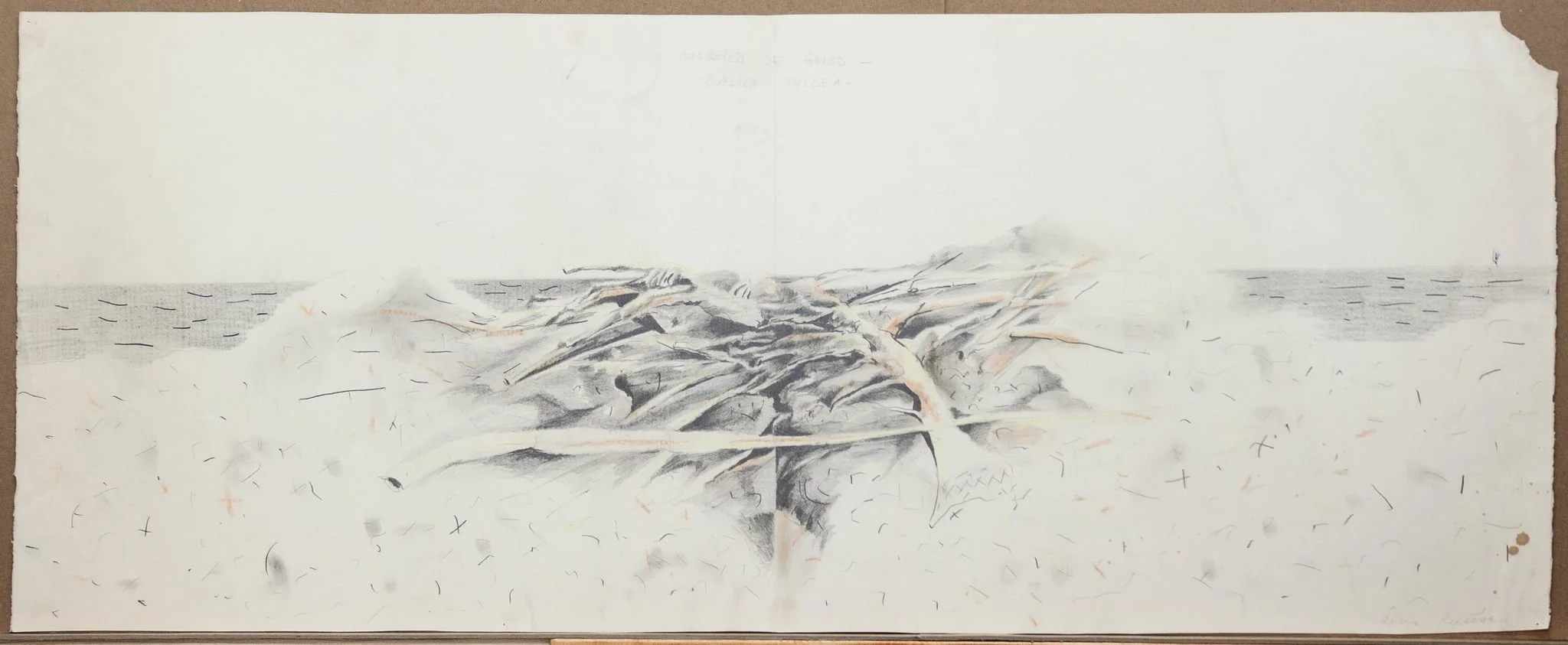O bucățică de grind, by Alma Rusescu, 1950
