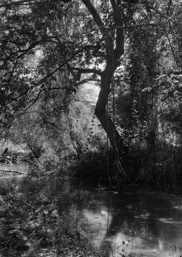 Grèce - Tempé, le Bain du Faune (Ελλάδα - Τέμπη, το Λουτρό του Πάνα)