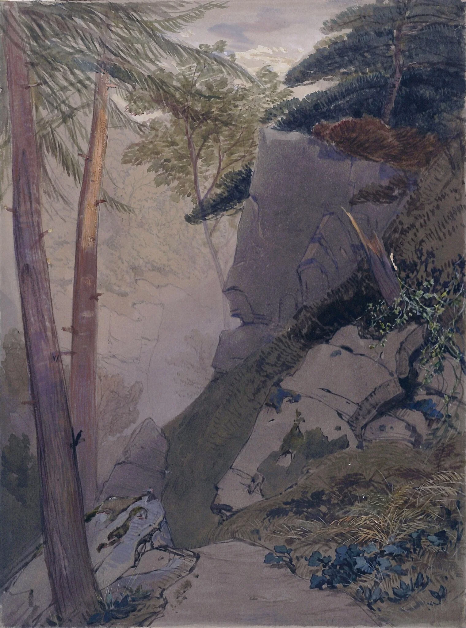 The Ravine