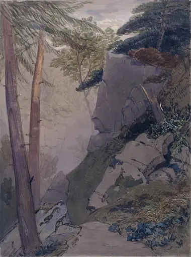 The Ravine