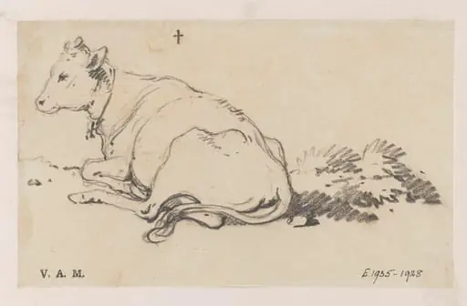A cow on a grassy slope