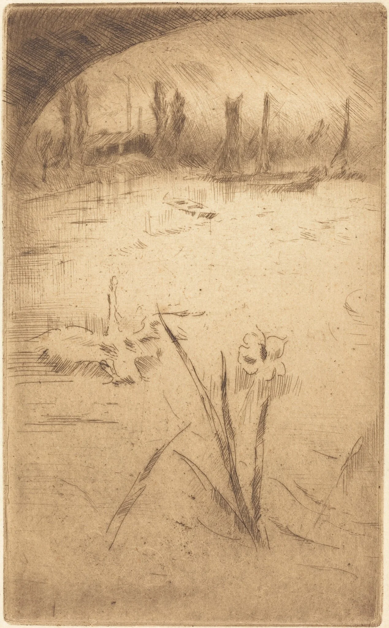 Swan and Iris, by James McNeill Whistler, ink, 1883