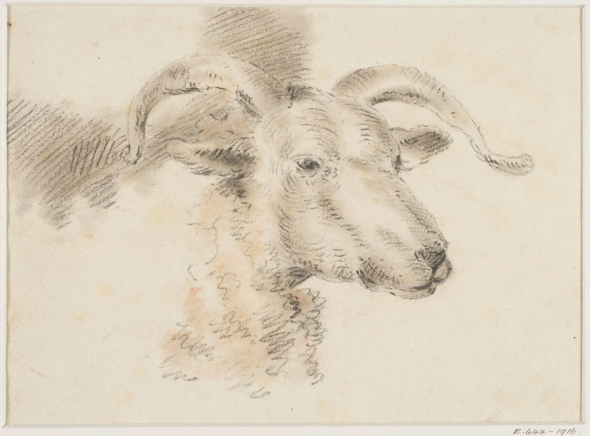 Head of a sheep, by Thomas Sidney Cooper, 1850