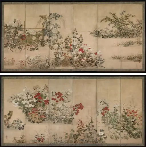 Flowers and Grasses