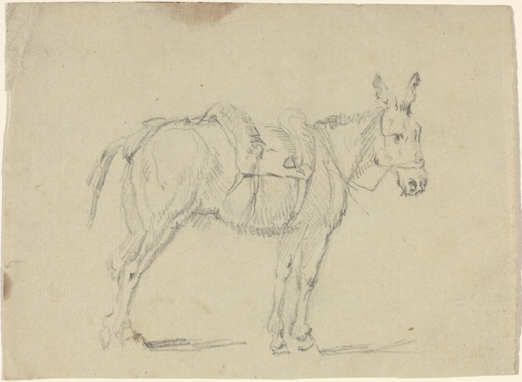 Donkey Stretching a Hind Leg, by John Flaxman, graphite, 1790