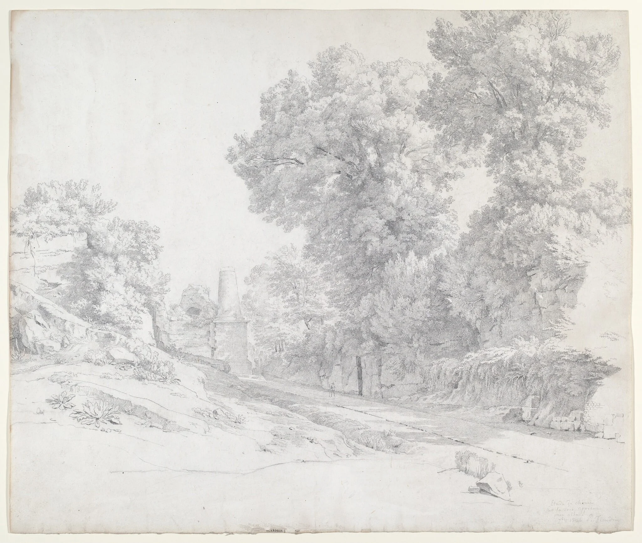 Oaks along the Appian Way near Albano, by Jean-Paul Flandrin, graphite, 1834