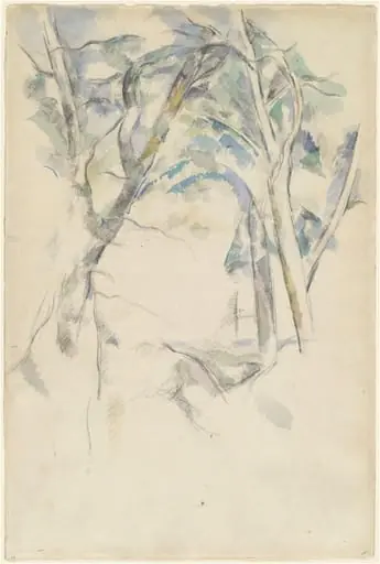 Trees Leaning over Rocks