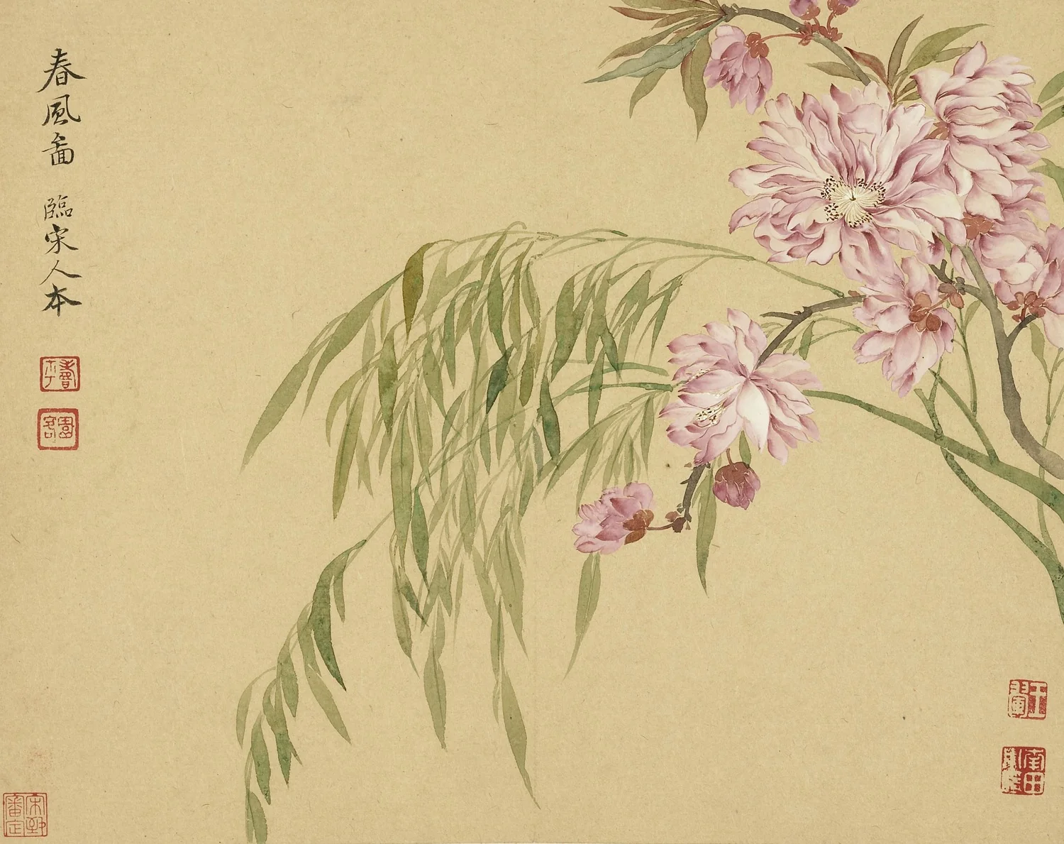 A Spring Breeze