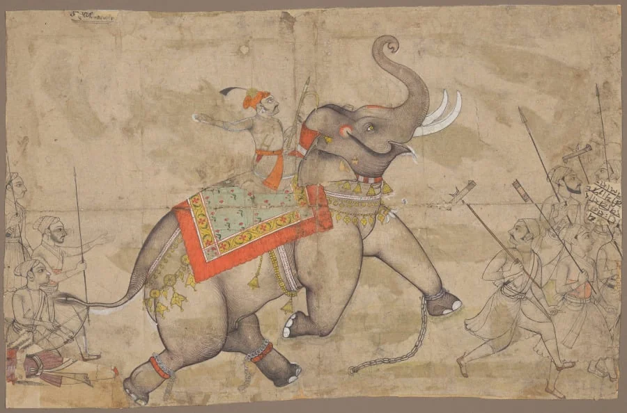 A Raja on an Elephant