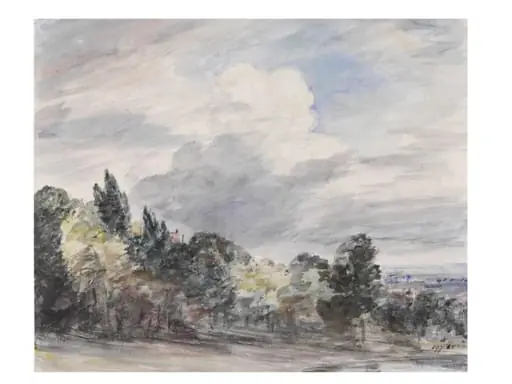 View over a wide landscape, with trees in the foreground