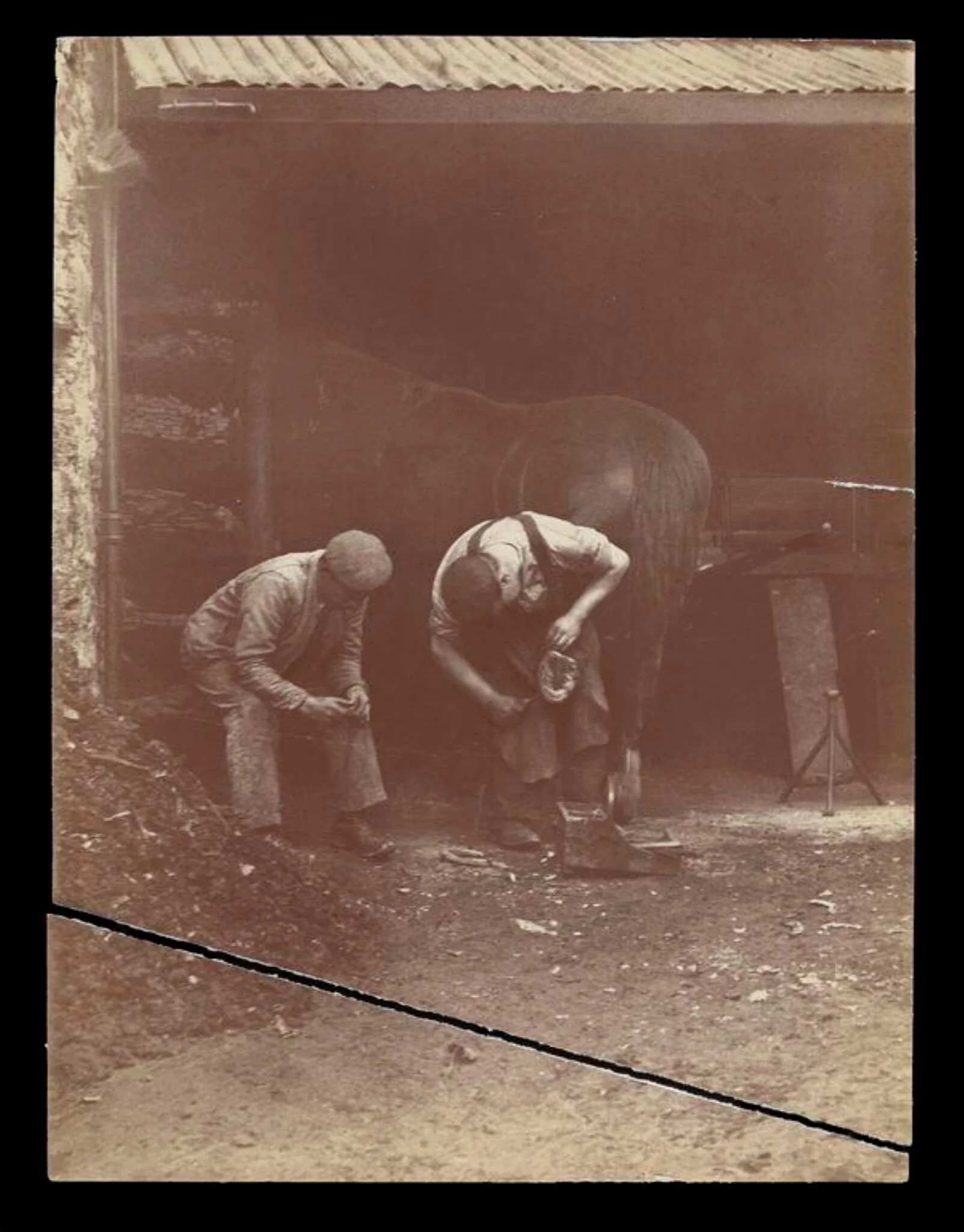 Shoeing a Horse
