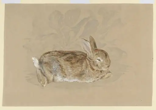 'Brer Rabbit' in a garden
