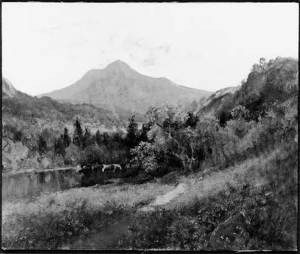 California Landscape