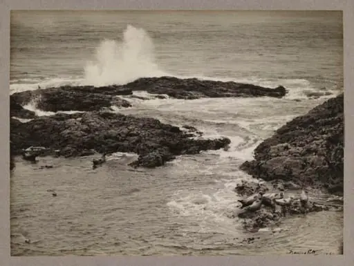 The Seal Harbour