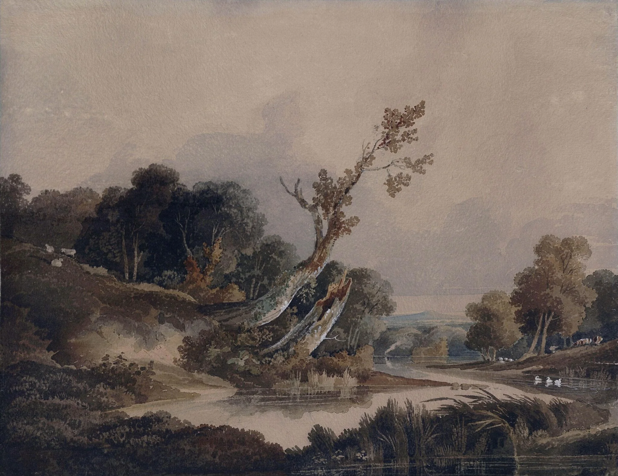 Landscape with trees and a stream