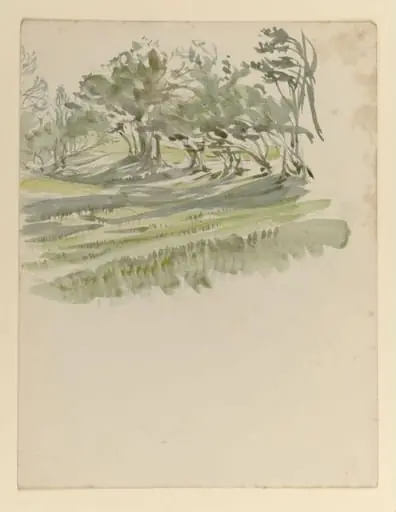 A meadow flanked by a line of trees