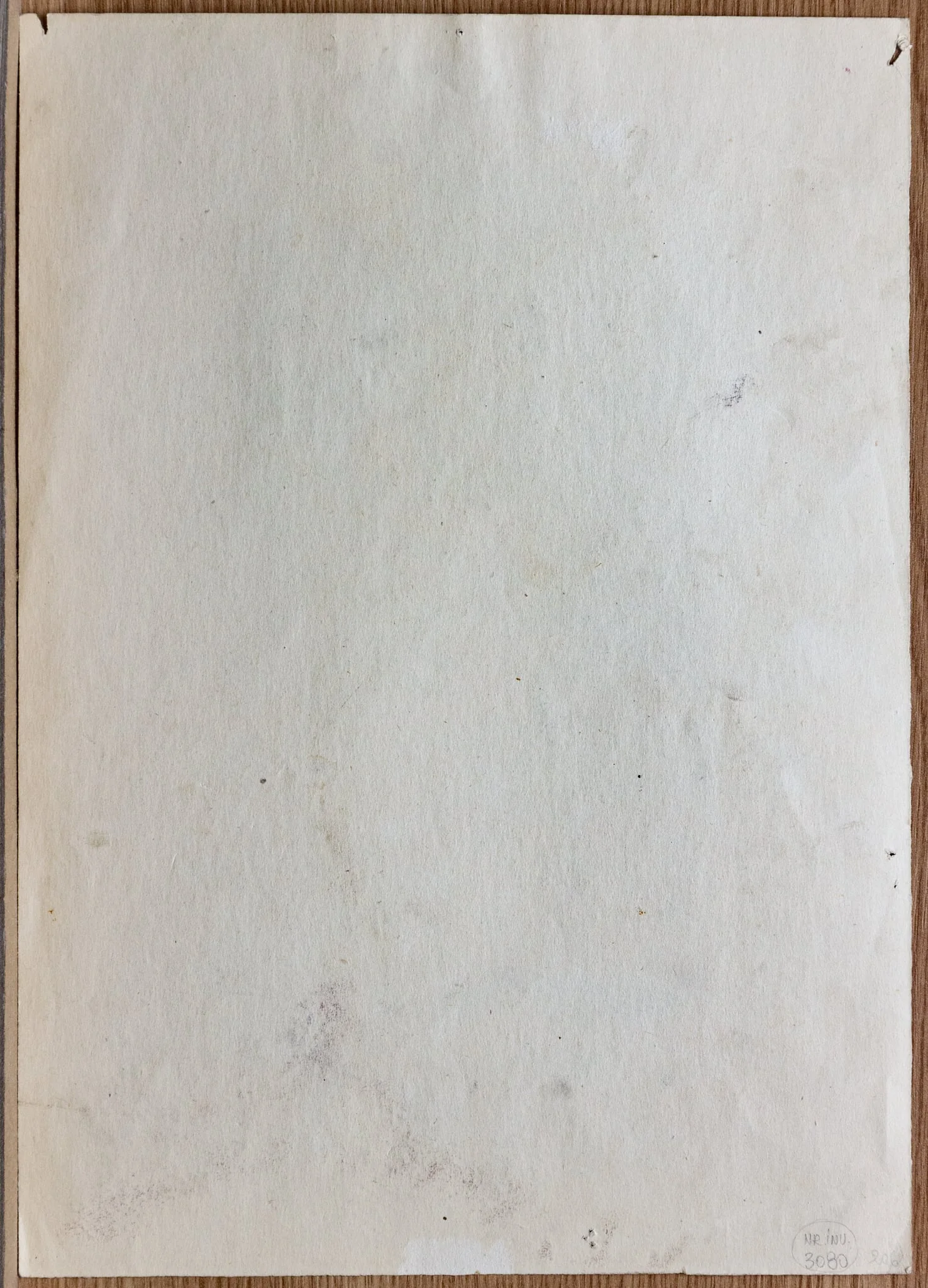 Portretul prietenei - schița I, by Tiberiu Nicorescu