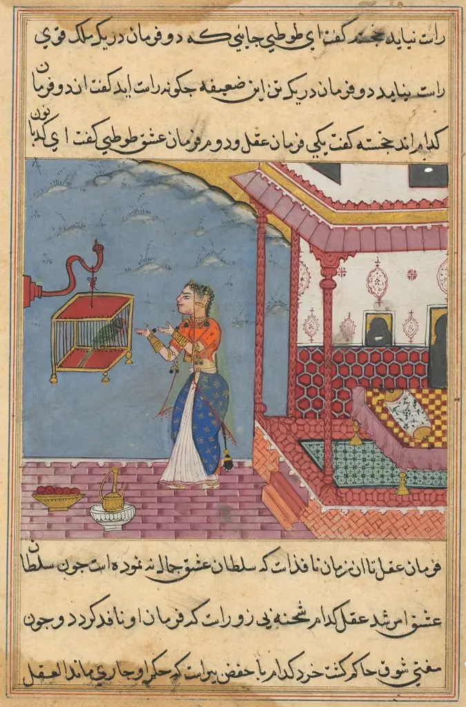 The Parrot Addresses Khujasta at the Beginning of the Twenty-Fourth Night, from a Tuti-nama (Tales of a Parrot)