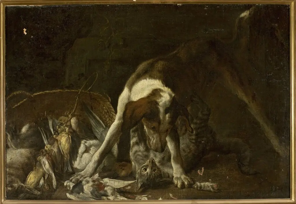 Dog attacking a cat