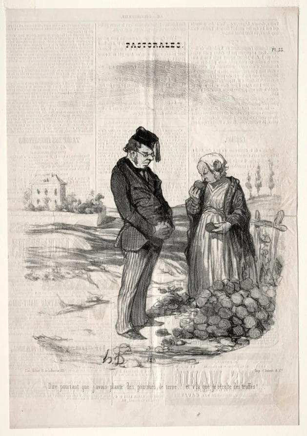 How strange.... I had planted potatoes, and here I am harvesting truffles!, by Honoré Daumier, 1845