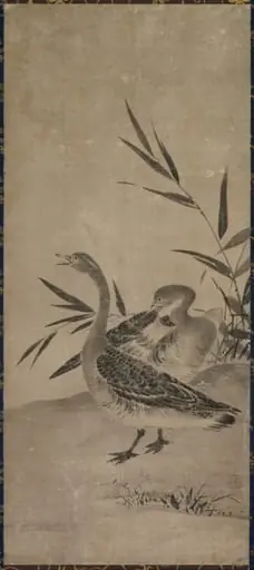 Geese