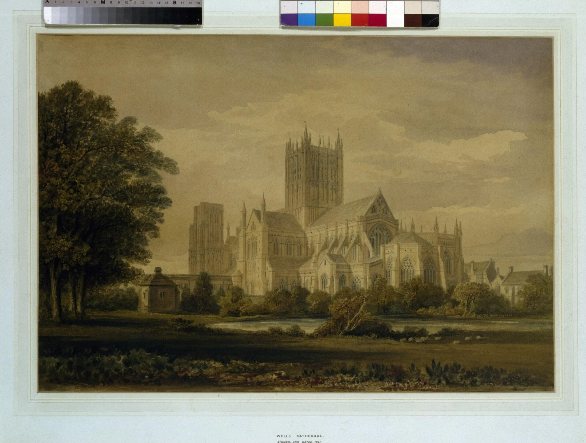 Wells Cathedral