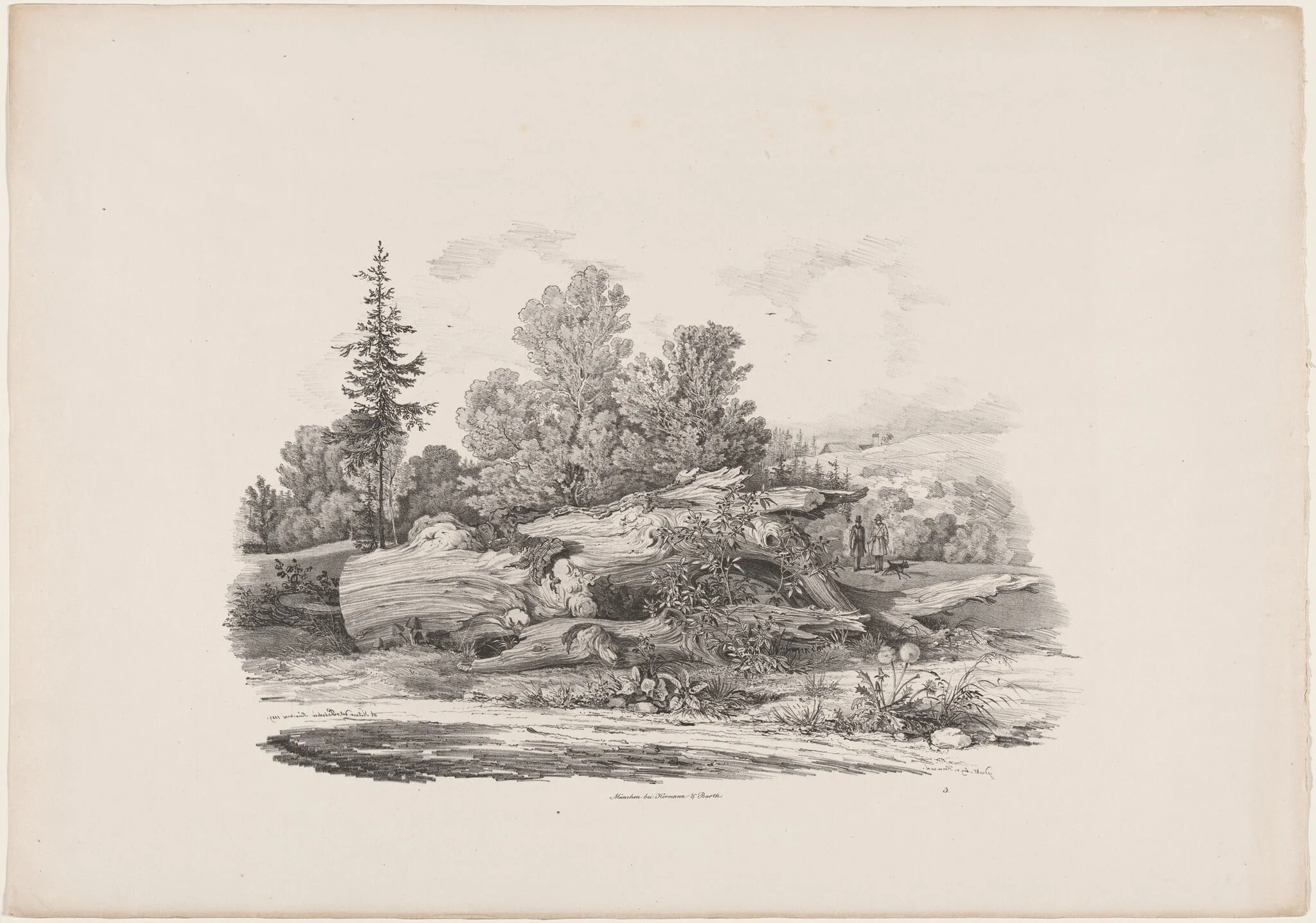 Forest Clearing with an Oak Trunk, by Carl August Lebschée, ink, 1829