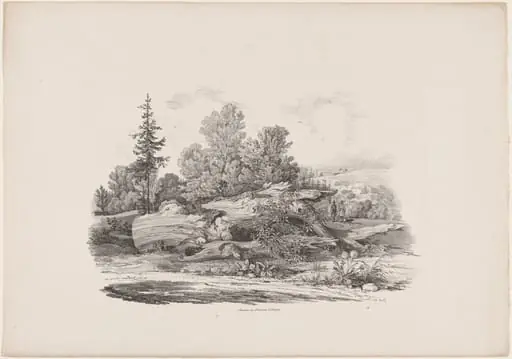 Forest Clearing with an Oak Trunk