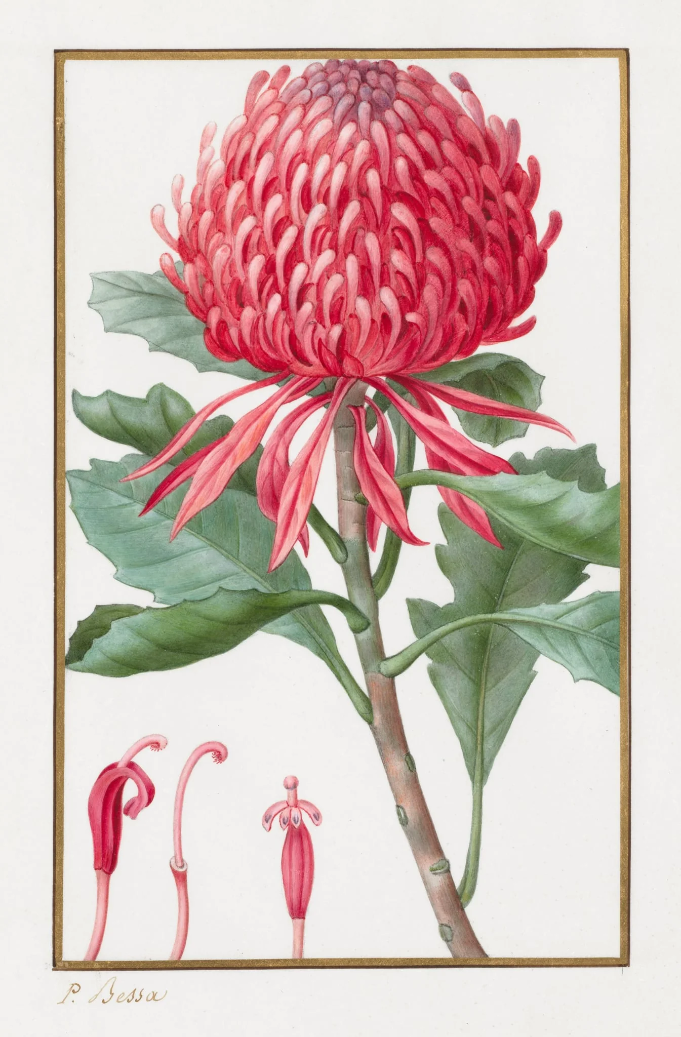 Untitled, by Pancrace Bessa, 1832
