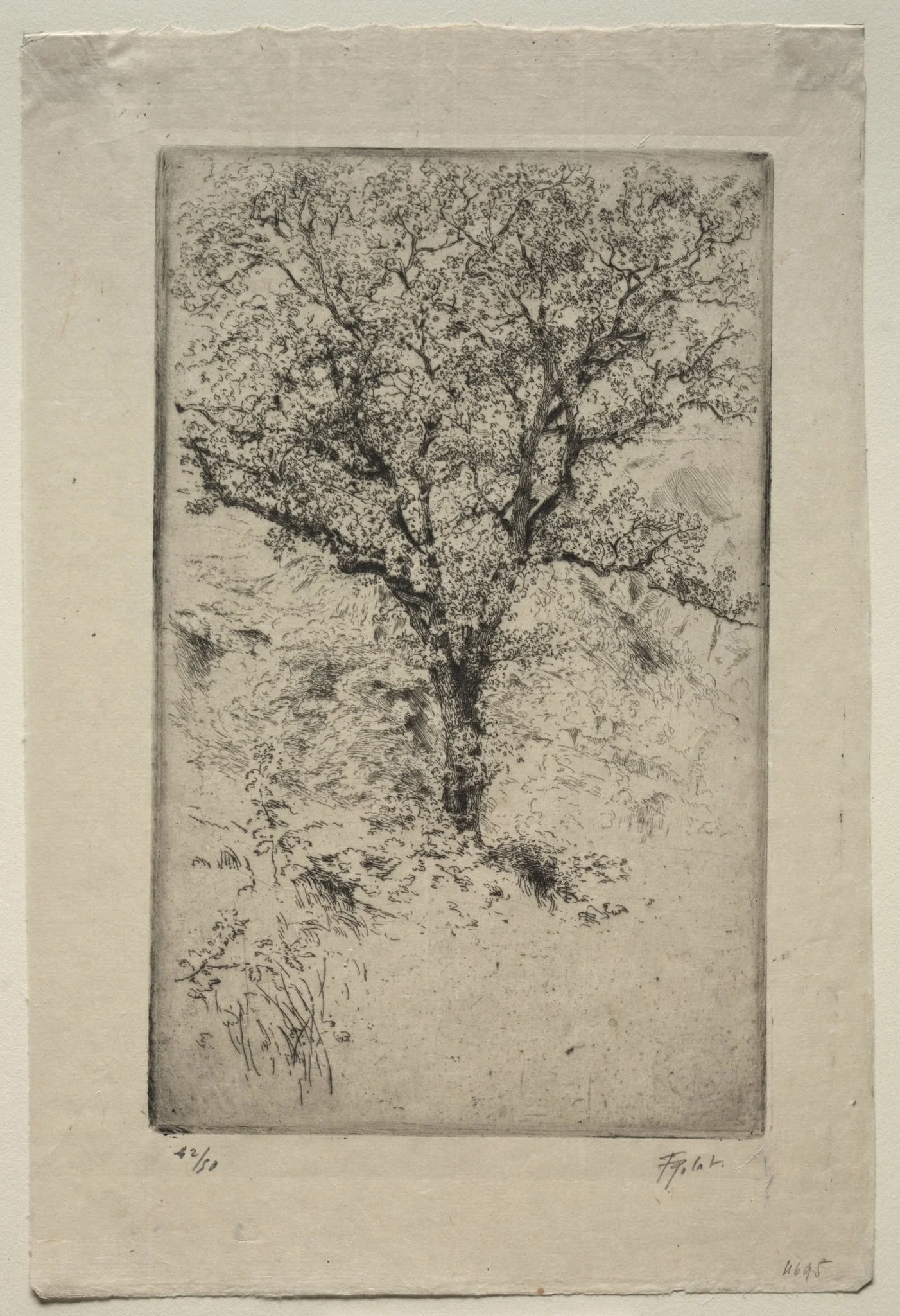 The Great Oak Tree, Monte Oliveto, by Tigrane Polat, 1900
