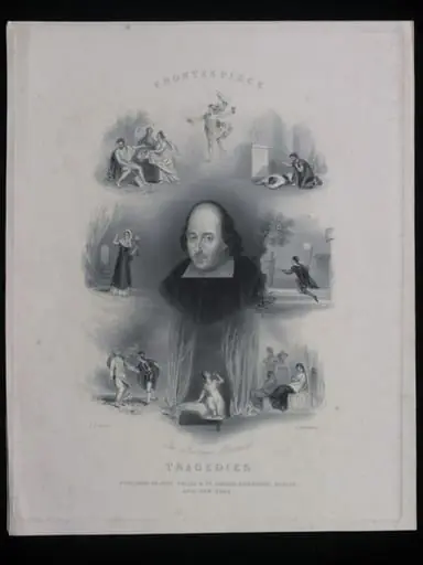 H Beard Print Collection