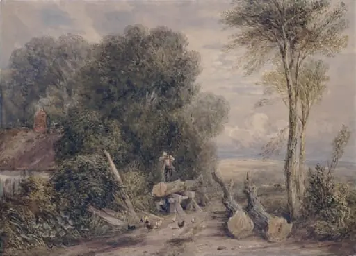 The Saw-Pit