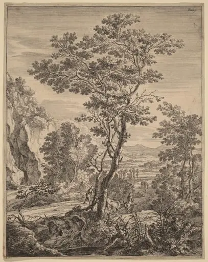 The Large Tree