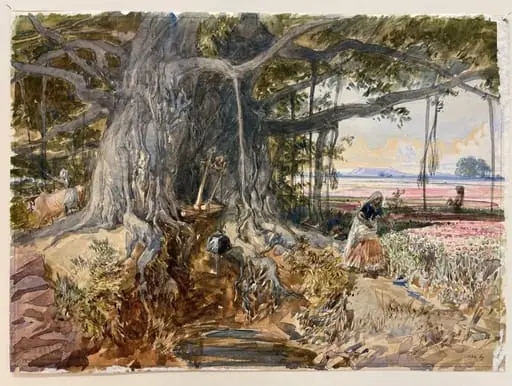 Opium cultivation scene, Malwa