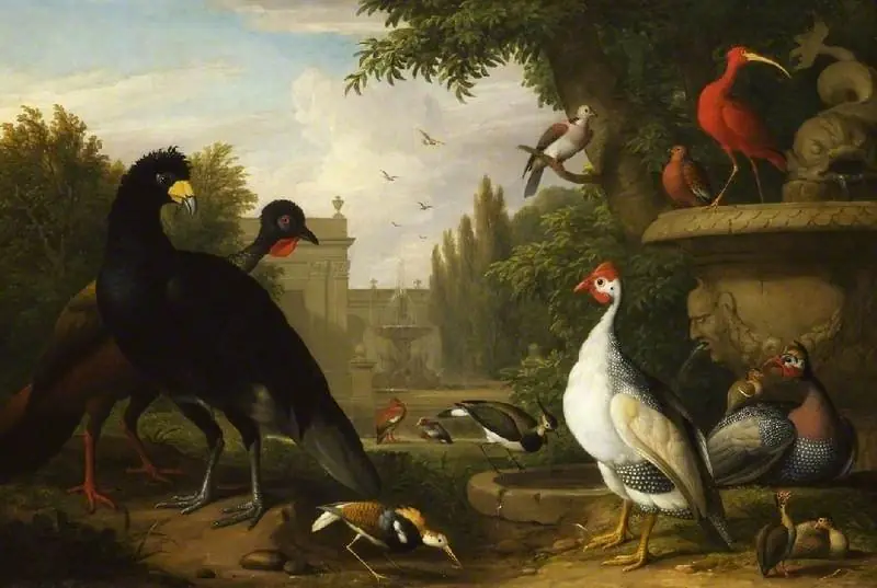 Exotic fowl in an ornamental garden beside a stone vase, a fountain beyond